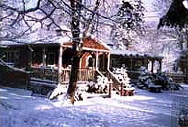 Cedar Cottage RUSSIA Room #1